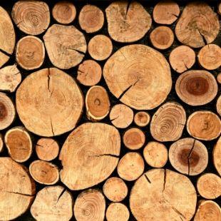 Vignette rondins de bois
