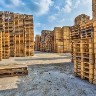Vignette reconditionnement de palettes en bois